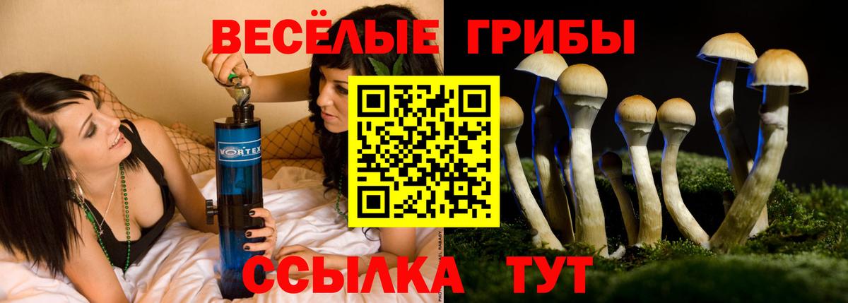наркошоп  Вход с VPN  Ржев  Галлюциногенные грибы Cubensis 